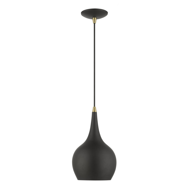 Tanna 1-Light Hardwired Steel Pendant, Black, Black