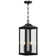 Gaudencia 2 -Bulb 20'' H Outdoor Hanging Lantern