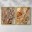 «Tree Texture Triptych I», reproduction encadrée de qualité supérieure - prête à être accrochée - aucun clou requis - aucun clou requis-856860611-856860636