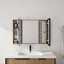 Armoire de salle de bain avec miroir et rangement