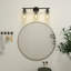 Ashod 3-Light Dimmable Matte Black Vanity Light
