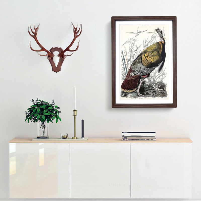 Wild Turkey by John James Audubon - Framed Print, Walnut, 91cm H x 60cm W x 2cm D