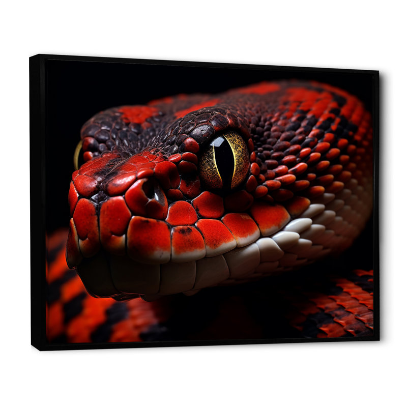Serpents Stare - Snake Animal, reproduction d'art mural, Cadre flottant noir, H 34 po x l 44 po x P 1,5 po