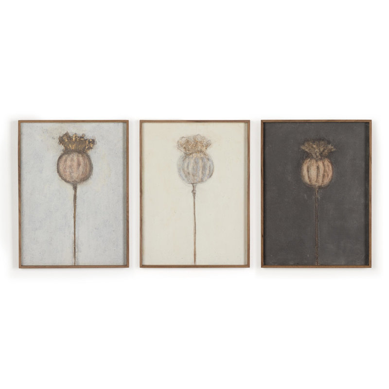 Poppy Triptych Print by Paul Meyer, 24" H x 54" W