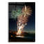 Art mural en verre acrylique Latitude Run® «Australie Day 2008» par SD Smart-827700020