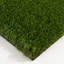 Tapis en gazon synthétique Trumbull-34773683