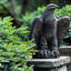 Eagle Looking Statue-951101514-951101533