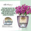 Classico Pot Planter-16493096-16493103