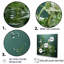 Herbes vertes et paysages d'eau-1041032718-1041032717