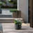 Large Concrete Round Planter / Pot With Drainage Holes-2003912679-2003912677