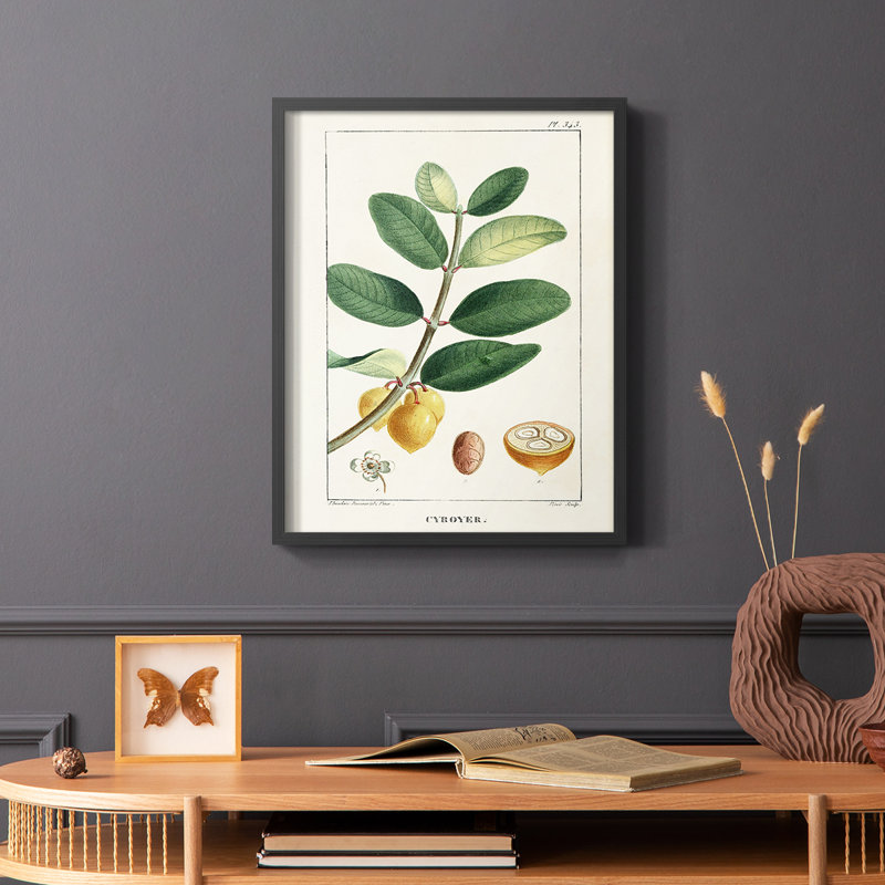 «Turpin Tropical Botanicals», reproduction encadrée en bois massif, Noir, H 10 po x l 8 po