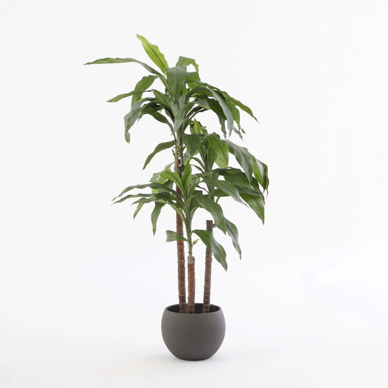 100cm Faux Dracaena Tree in Pot