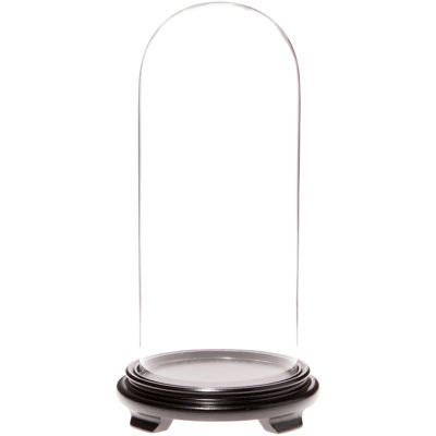 Keiarra 5.5" x 13" Glass Display Dome Cloche