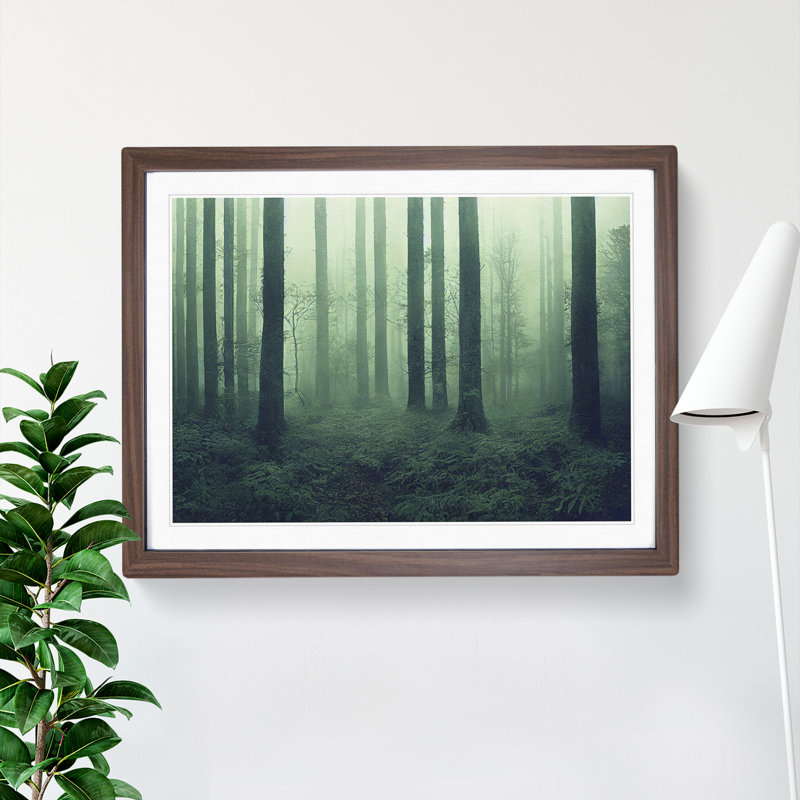 Dazzling Forest - Framed Print, Walnut Framed, 34cm H x 46cm W x 2cm D