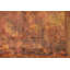 Tapis indien moderne all-over 4 x 6