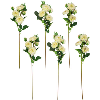 Jets de roses