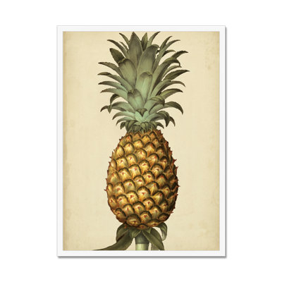 Brookshaw Antique Pineapple I 1 Piece Painting