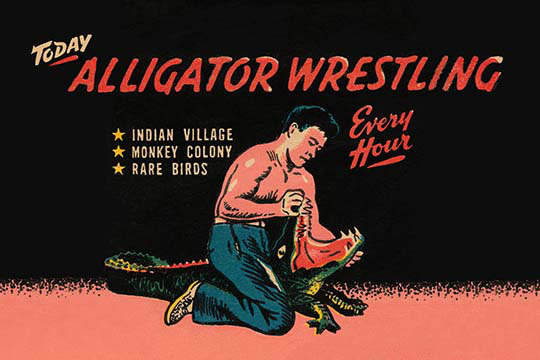 «alligatoring, H 44 po x l 66 po