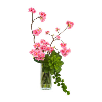 Cherry Blossom and Succulent Arrangement