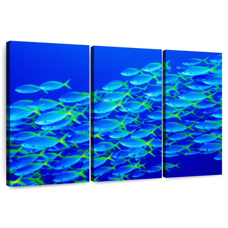 School Of Snapper Fish, 36" H x 57" W