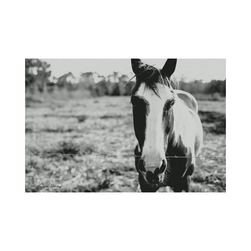 Friendly Horse by Melissa Hanley - Wrapped Canvas Print, 66.04 cm H x 45.72 cm W x 1.91 cm D