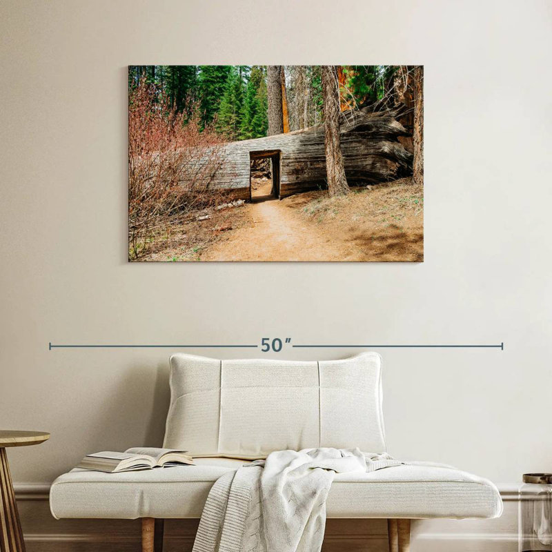Harnek Tunnel Tree, 26" H x 39" W