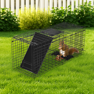 32" Black Foldable Animal Trap With Front Baffle