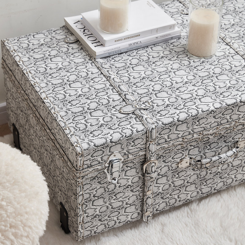 Texture Brand Trunk - Silver Snakeskin