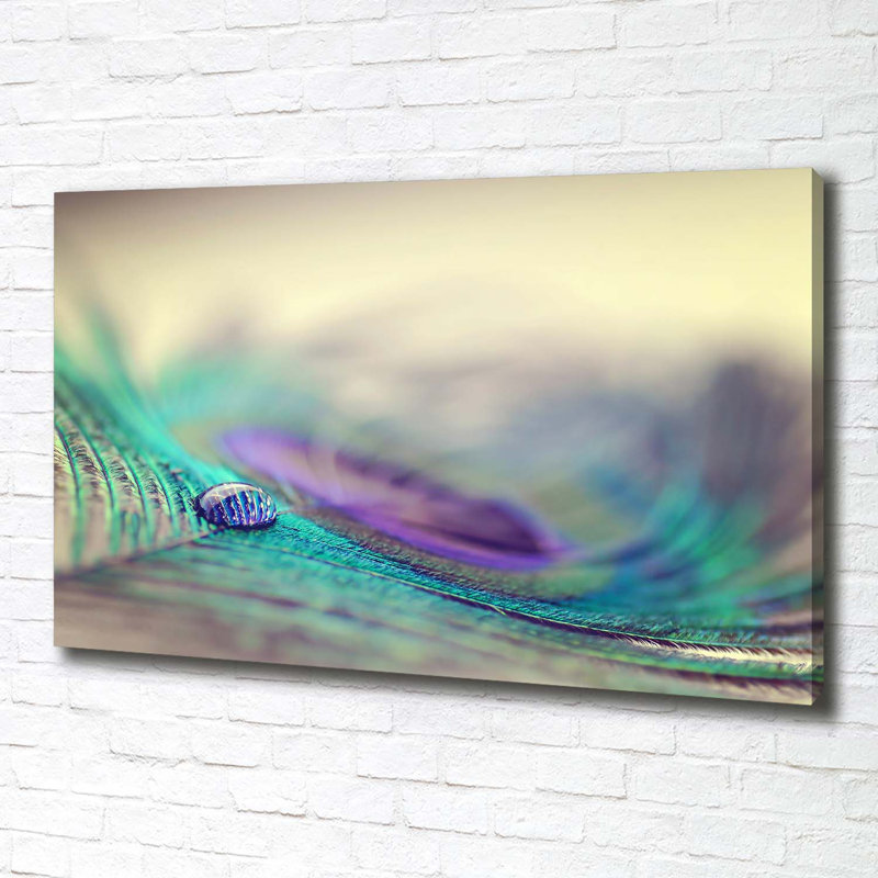Drop On The Feather - No Frame Print on Canvas