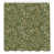 Olive Green is out of stock