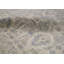 Nomad Oriental Area Rug in Green/Ivory
