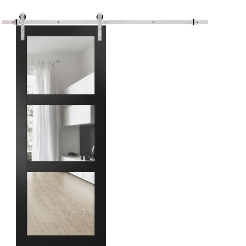Porte de grange noire en verre transparent Lucia avec trousse de quincaillerie d'installation, L 32 po x H 80 po, Argent