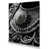 Toile tendue
