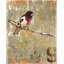 Aves 9 Print by Zoey Riley-25706658-25706666