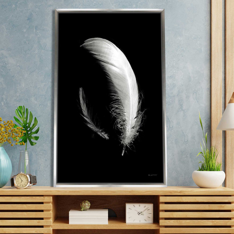Dream Feathers - Photographie d'un seul cadre, L 21,5 po x H 33,5 po, Encadrement argenté