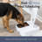 TRIXIE TX2 Automatic Food Dispenser, Two Food Bowls, Dual Timer, 48 Hour Timer, Battery Operated