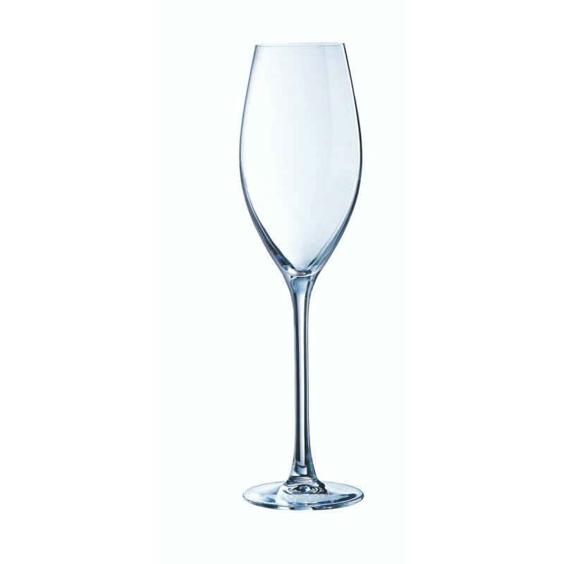 Shellharbour 240ml Crystal Flute Set