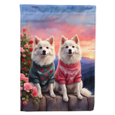 Double Sided 40'' H x 28'' W Polyester Valentine's Day House Flag