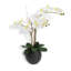 FLORAL 25IN DOUBLE STEM ORCHID, WHITE-2141217218