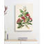Rata Flowers by Sarah Featon - Wall Art-1181130912-1181130919