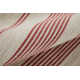 Shastina Coastal PET Yarn Red/Ivory Rug