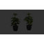 Plante Martinez 14 po