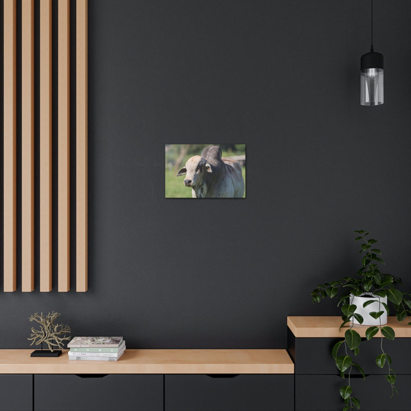 No Frame Print on Canvas, 30.48cm H x 45.72cm W