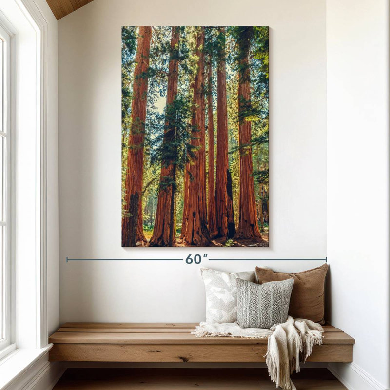 Séquoias Harnek dans le parc Sequoia, H 51 po x l 34 po