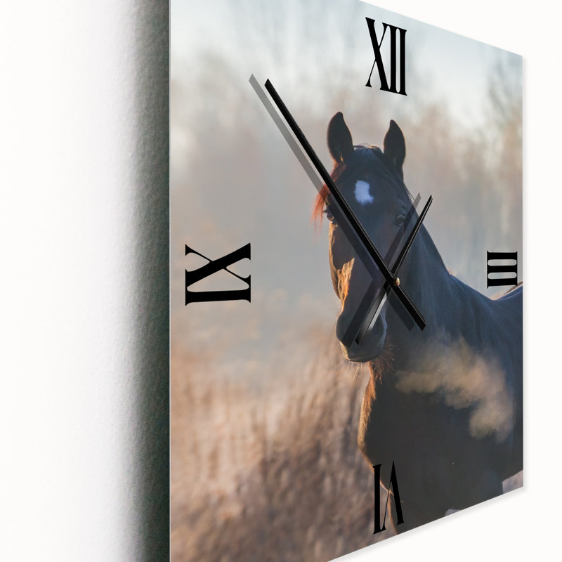 Portrait d'un cheval sur une horloge murale matin d'automne, Grand