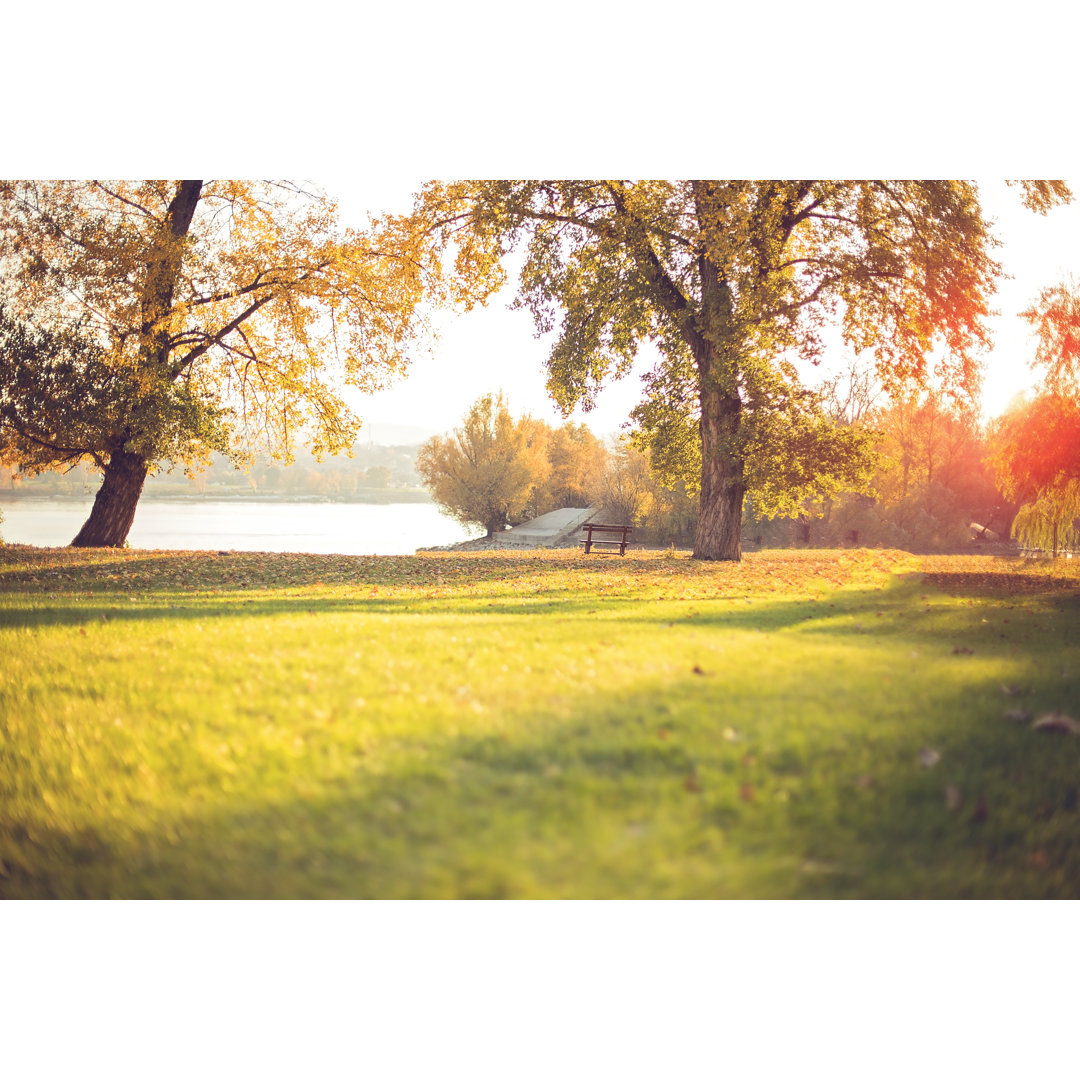 Beautiful Park von South_agency - Druck auf Leinwand ohne Rahmen