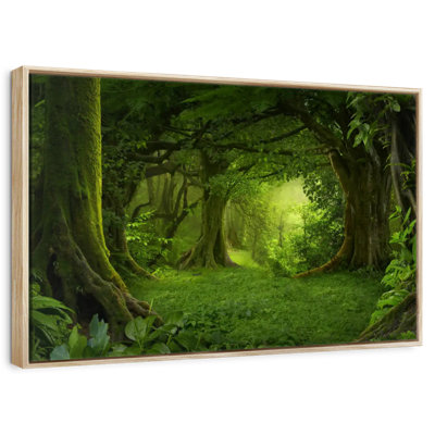 Mossy Green Forest