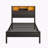 Full Size Bed Frame with Storage Headboard, Metal Platform Bed with Charging Station, Bookcase Storage, No Box Spring Needed, Easy Assembly, Noise-Free, Black -121781304-121781306