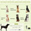 Tente escamotable pour chien pour très grands et grands chiens