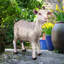 Statue de jardin Billy Goat